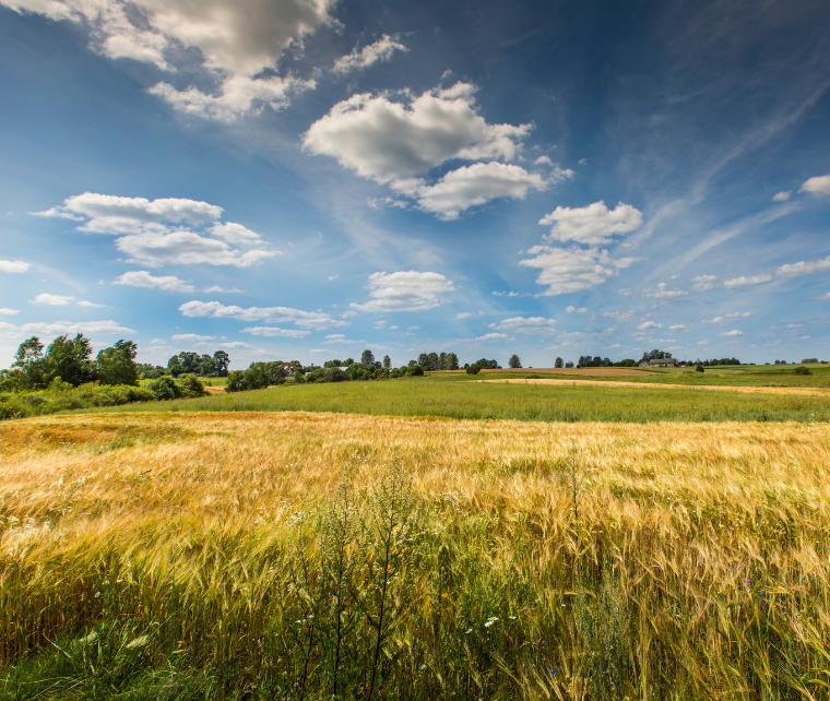 Go-leasing Suwałki 2